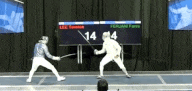 Fencing
