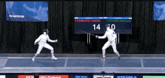 Fencing