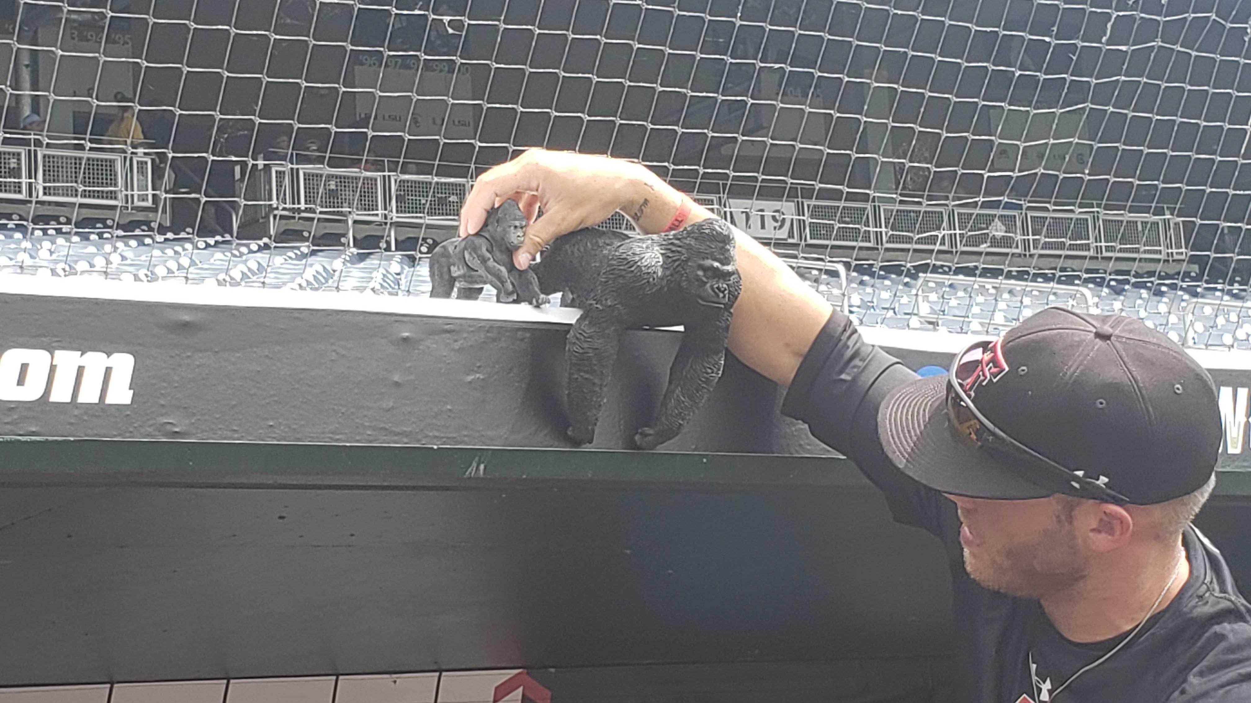 Texas Tech rally gorillas