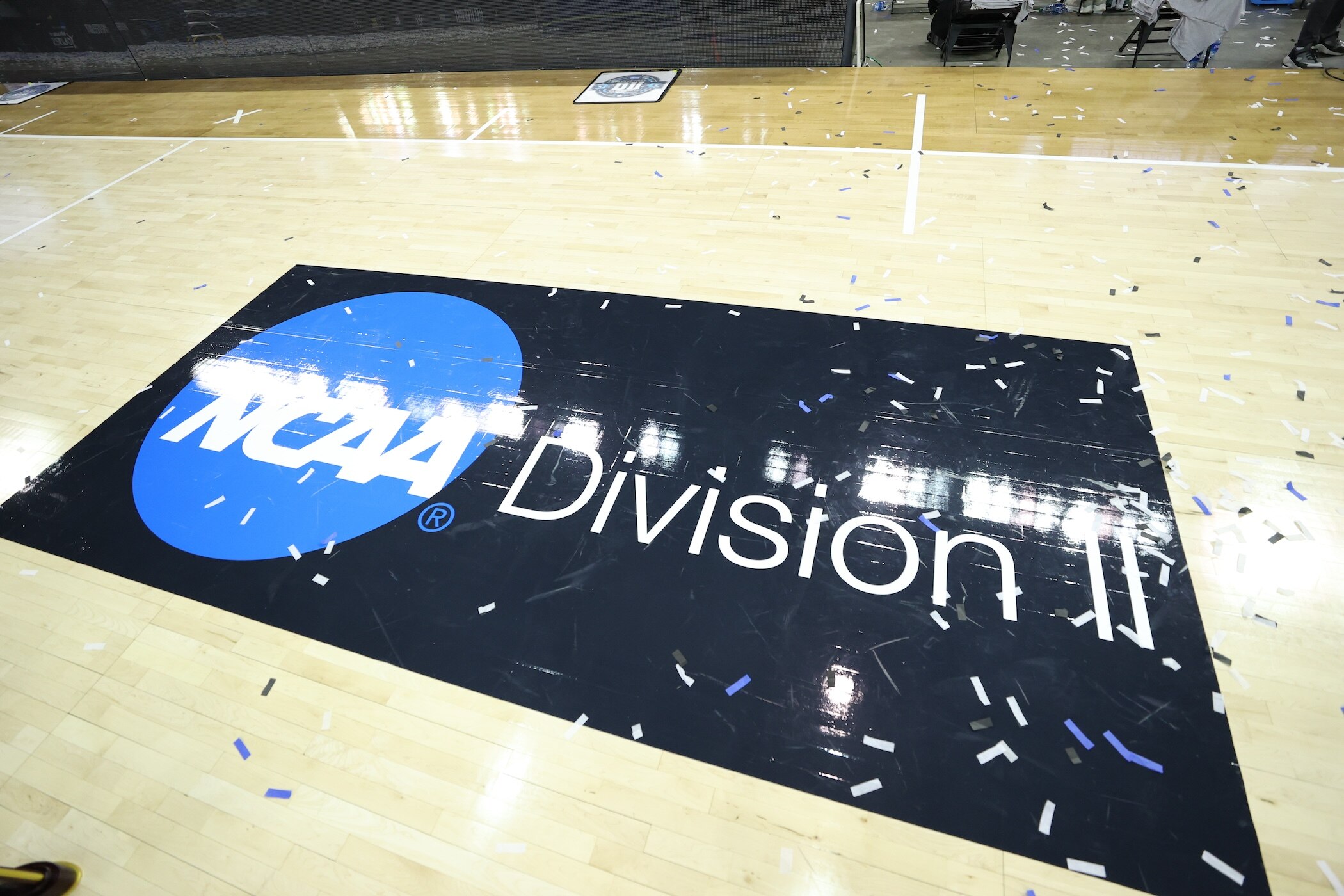 DII men's basketball